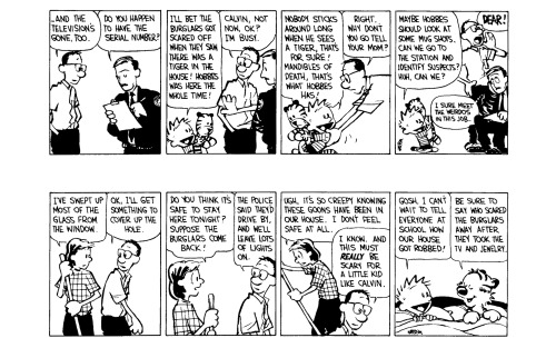 Calvin and Hobbes: the break-in story, Part 2. (Part 1 here.)