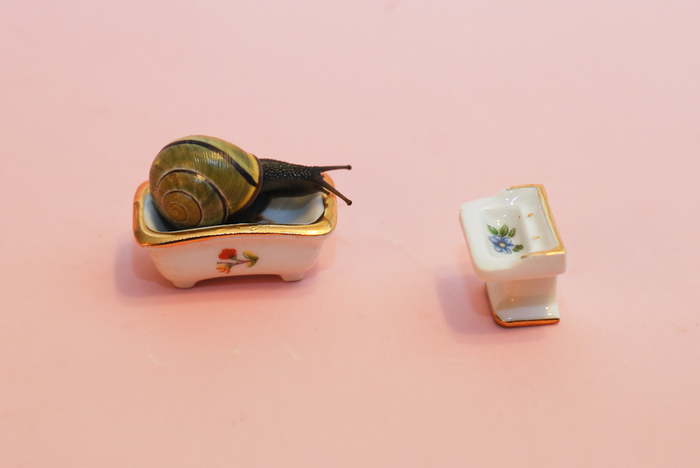 oliverthesnail:  Rub-a-dub-dub, a snail in the tub! 