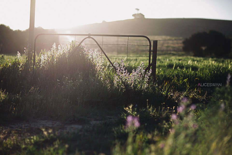 delta-breezes:Alice Swan Photography