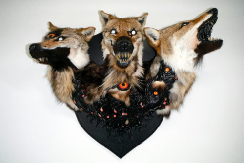 Illuminated Rogue Taxidermy Cerberus Sculpture $4000