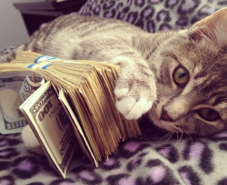cashcats:  married 2 the moneys