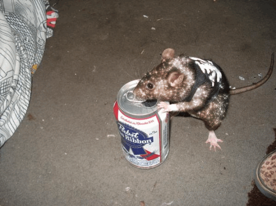 ı̶̆̑ͪ̋͗̑̉̏̾͐ͣͤ̆͊̿̎ͮͬ̚͏̸̢̥̮̤͉̱̬̺͕