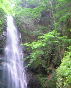 百尋の滝　東京都　奥多摩Hyakuhirono-taki,