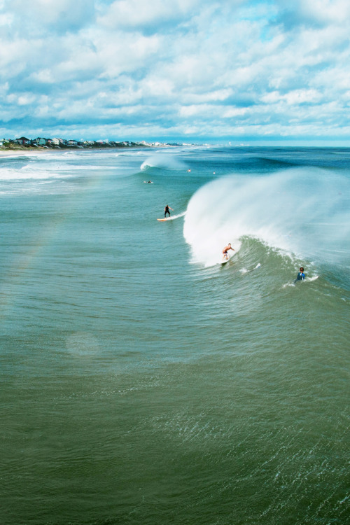 FREE SURF