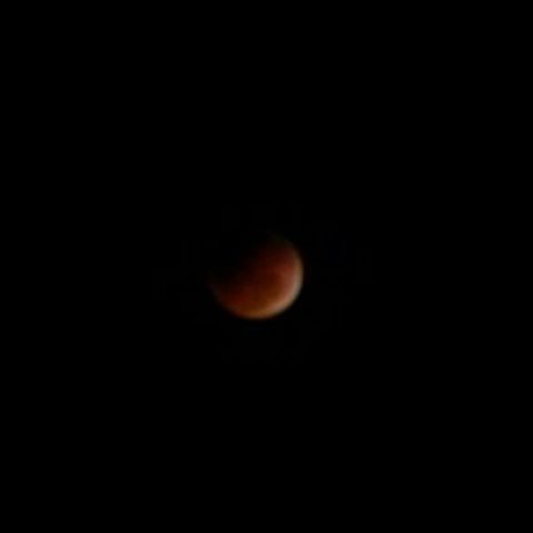 There was a #supermoon, #bloodmoon, #lunareclipse. Titles upon titles bestowed upon this one. Anyway