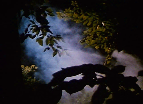 moviesludge: this seems like exactly where a nightbeast would be