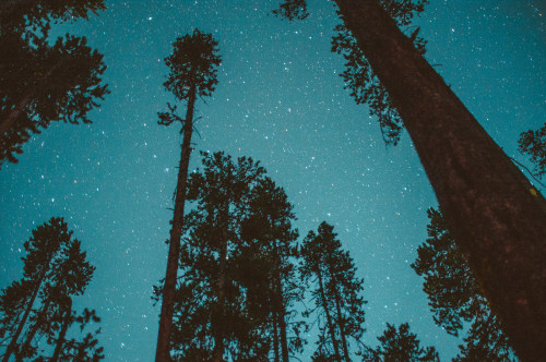 foxmouth:  Nightscapes, 2015 | by Matt Lief porn pictures