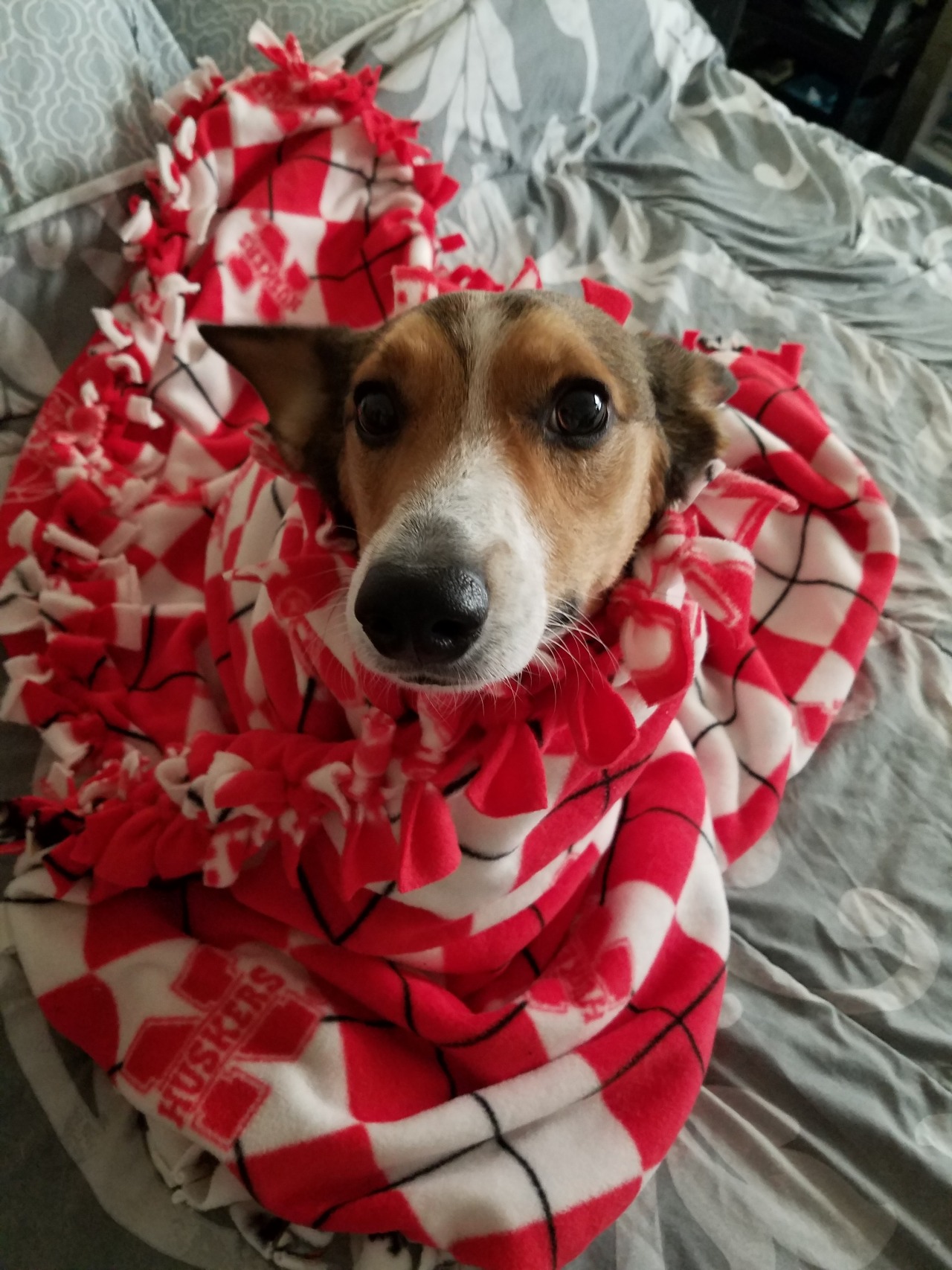 baronvonwaffles:This blanket is Bacon approved!