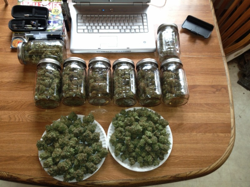  ॐ ALL WE REALLY NEED IS WEED ॐ 