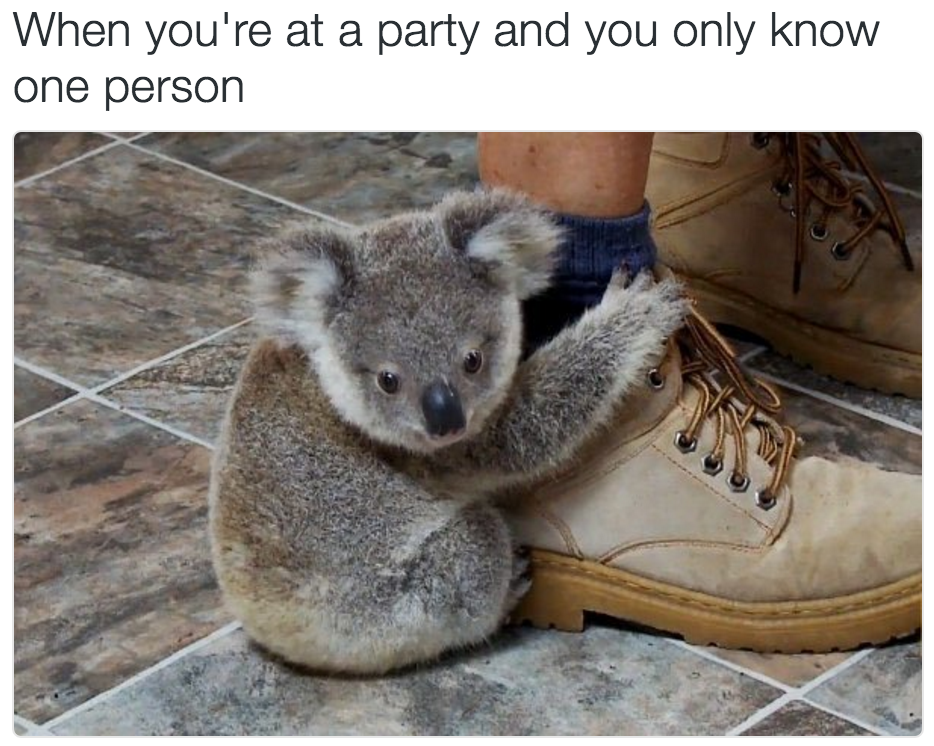 babyanimalgifs:  more baby animals here