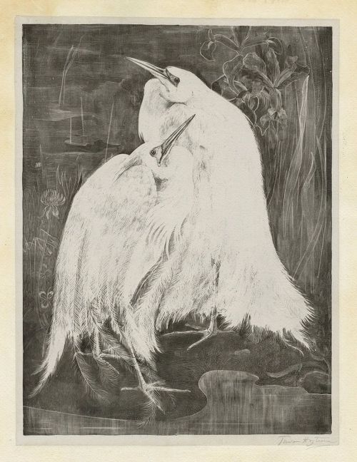 thatsbutterbaby:Theo van Hoytema - Two White Egrets, 1898.