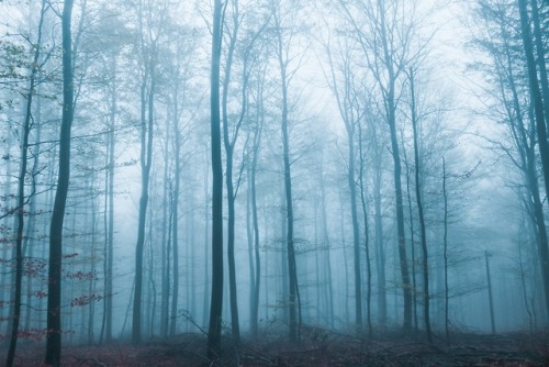 expressions-of-nature:Frankfurt, Germany by Ibrahim Rifath