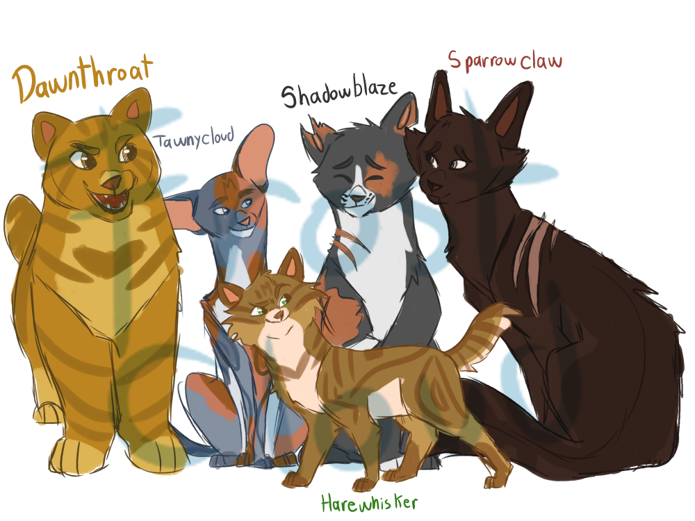 MX — Voltron warrior cats au!! because i cant draw...
 Cats Drawing Tumblr