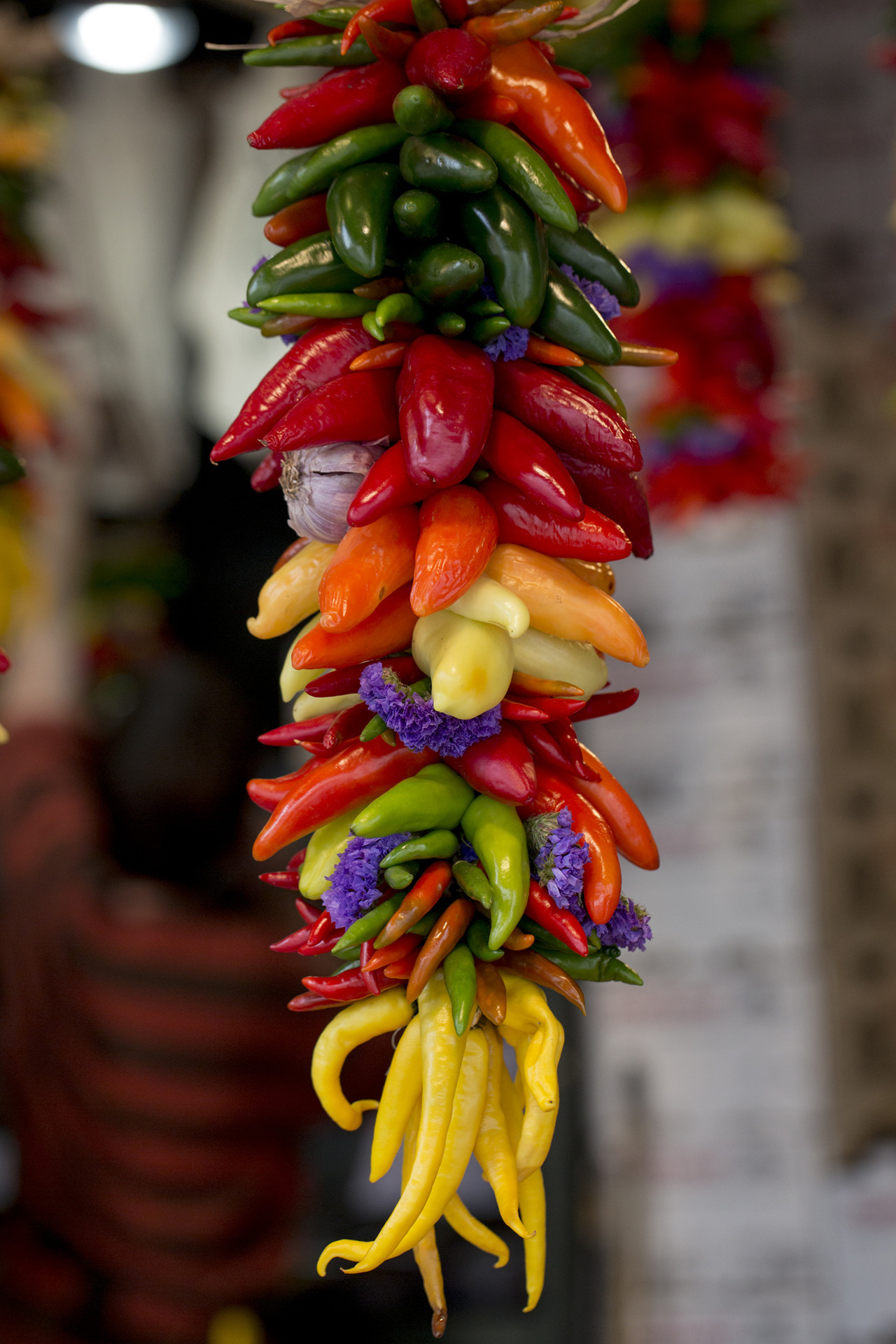 lemecestmoi:  colourful hotties…:)