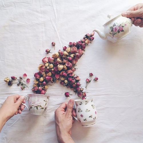 mymodernmet:Toppled Teacups Overflow with Dried Leaves and Delicate Flowers