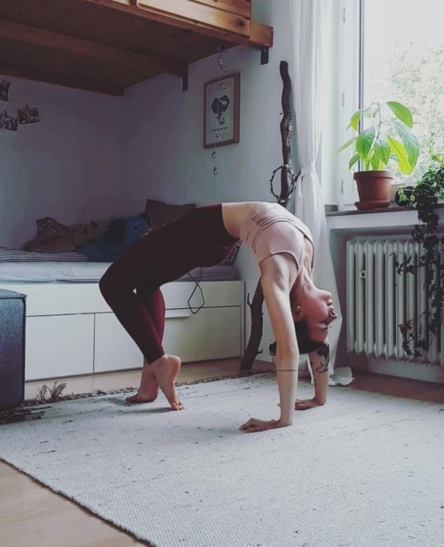 elephantsarevegan:As you might have noticed i started getting more into yoga again and it feels so g