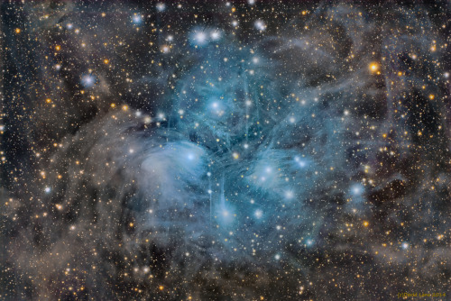humanoidhistory:THE PLEIADES — Behold the Pleiades star cluster, also known as the Seven Sisters and