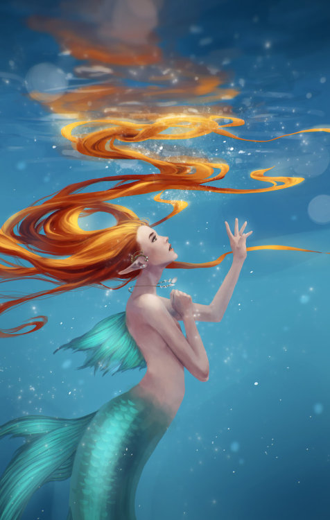 wildfins:  Wish by IIclipse