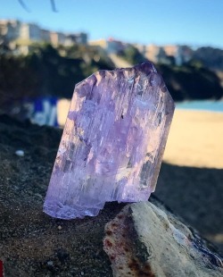 mineraliety:  Pretty in pink Kunzite contemplating life via @manyminerals ///// www.instagram.com/mineraliety