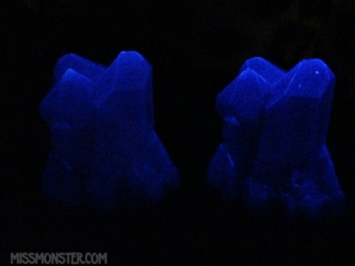 missmonstermel:I put two more lights in the shop! missmonster.myshopify.com/These small batte