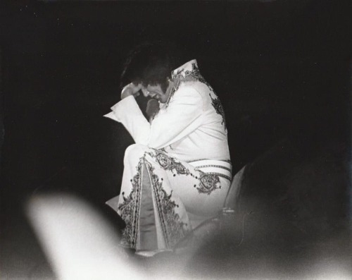 To Our Beloved Elvis,