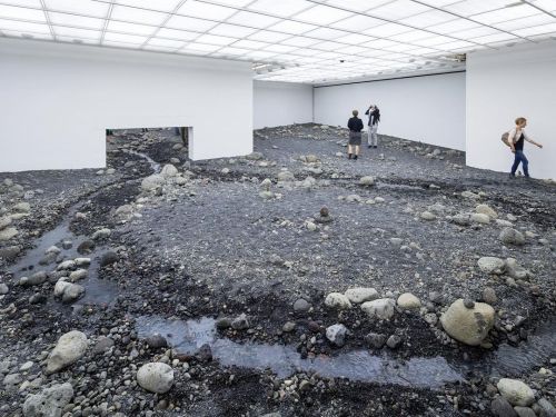 disease:riverbed by olafur eliasson (2014)this exhibition was created to question