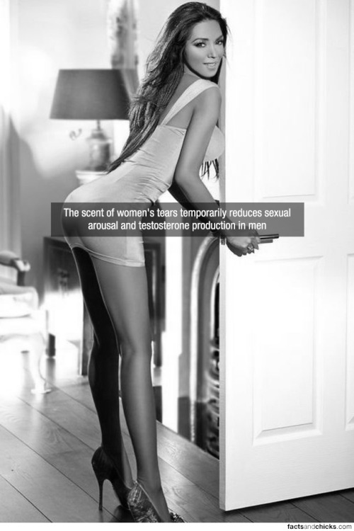 factsandchicks:The scent of women’s tears temporarily reduces sexual arousal and testosterone produc