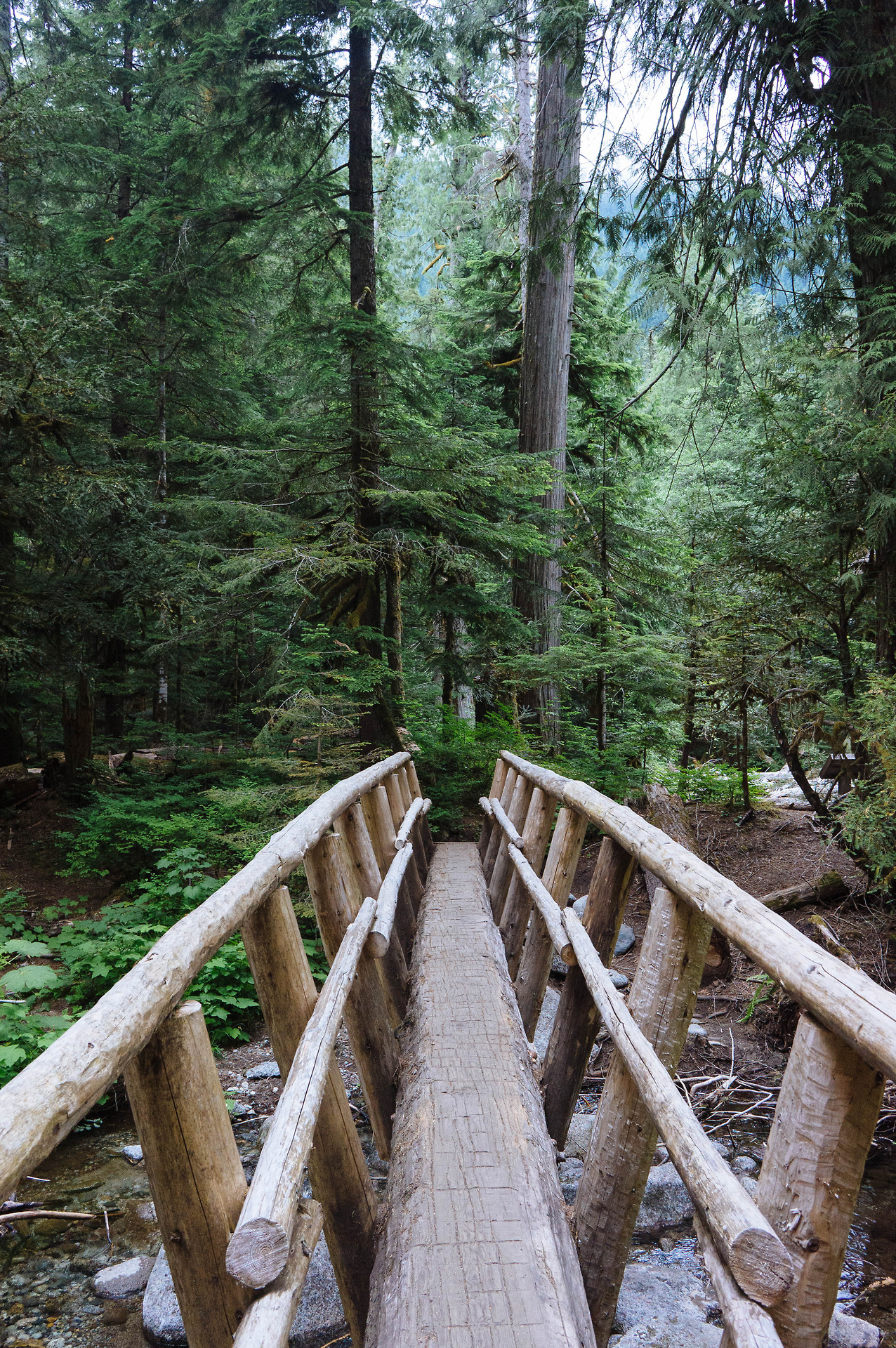 apassingbreeze: deception falls trail, washington sony nex 5n 