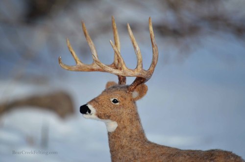 Needle Felted Whitetail Buck by Teresa Perleberg