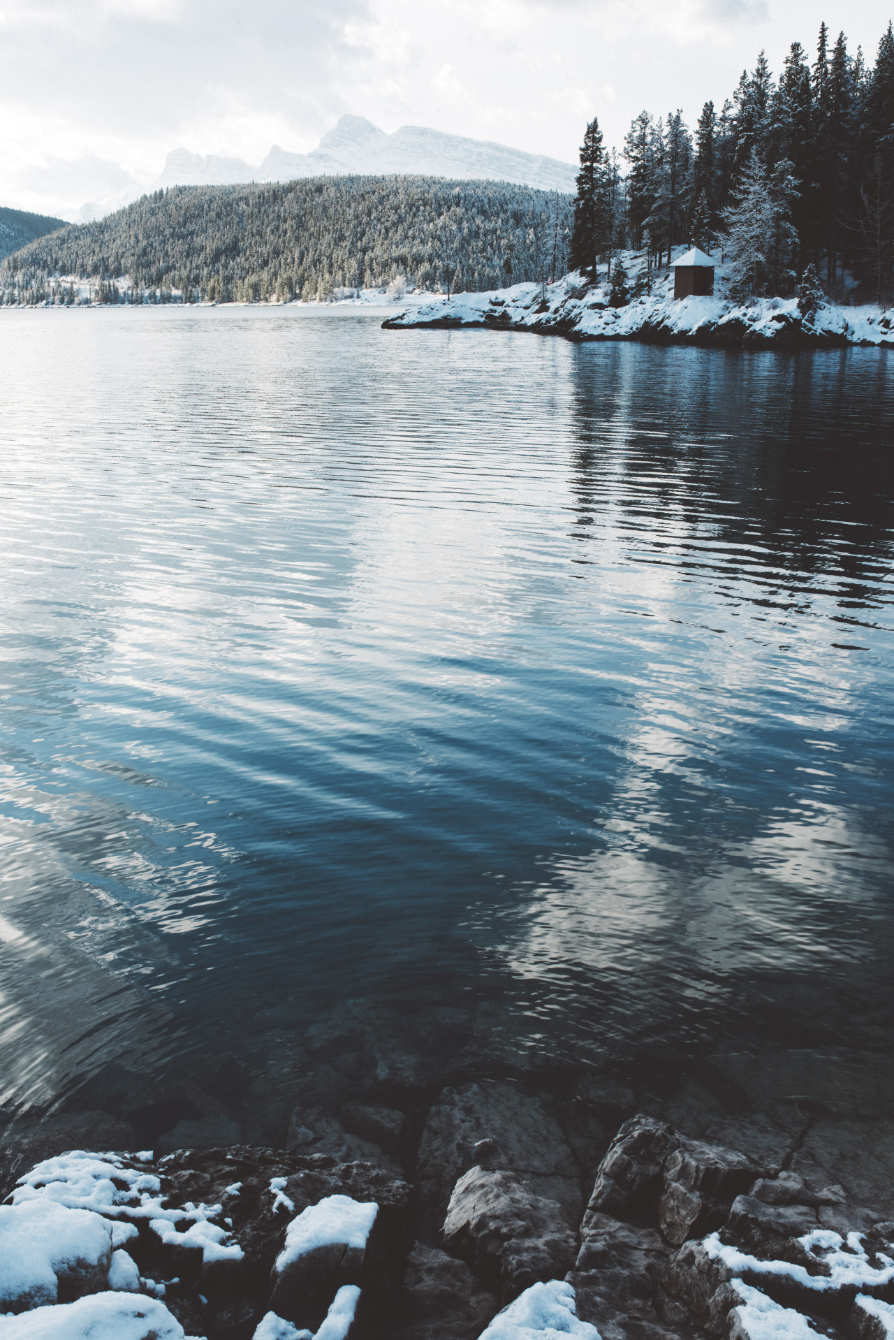 teapalm:  (Tasha Marie) | Banff National Park