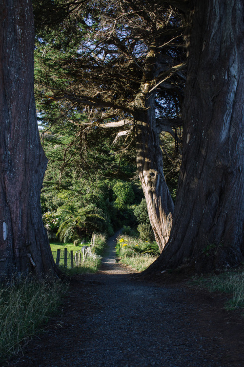 Rakiura aka Stewart Island, “the anchor of NZ.”