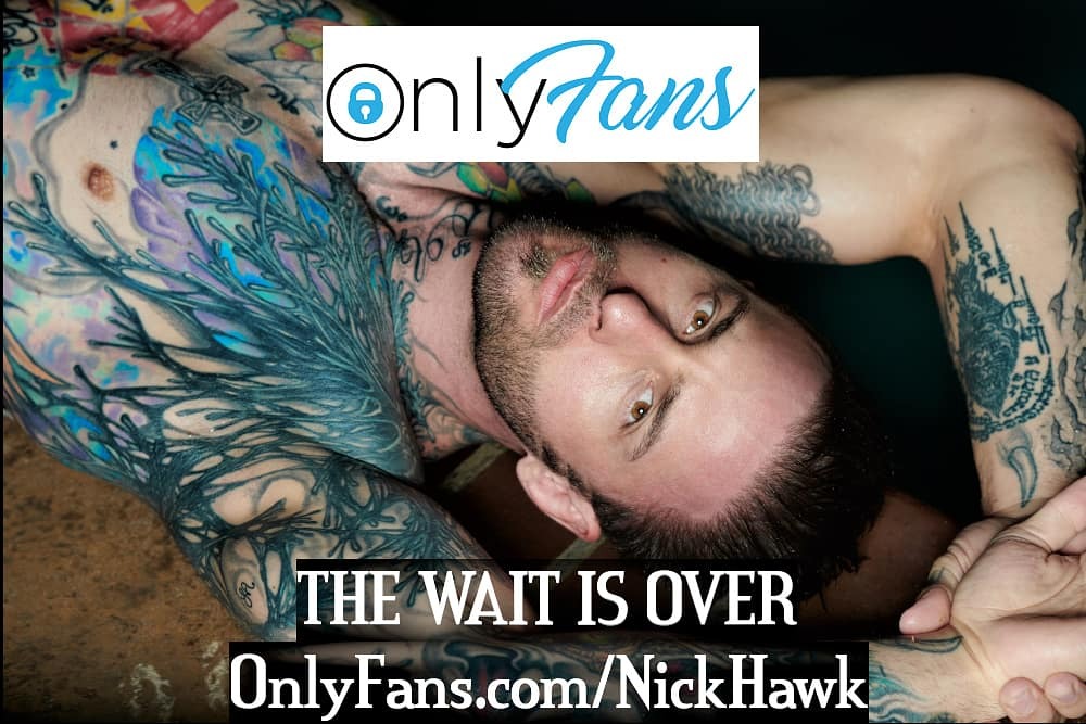 Hawk tattoo nick More than