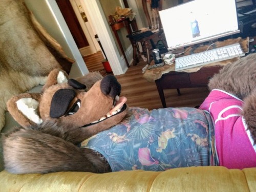 stickyfur:Undies