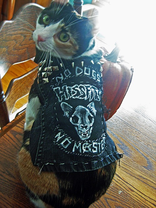 ravensbane:I took my patches back when I put my battle vest together so I painted my cat some new on