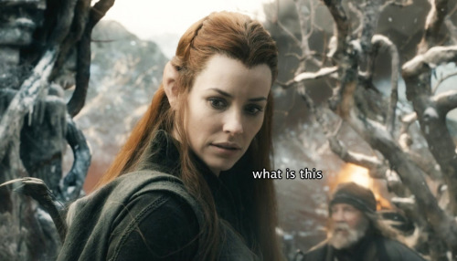 queenerestor:Why are we not talking about that moment Tauriel met Bilbo and probably saw her first h