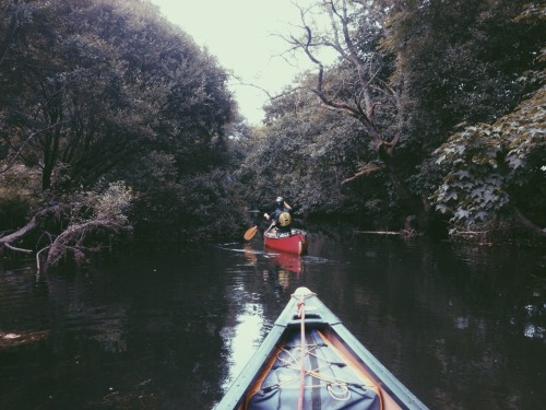 themountainiscallingblog:  River trip 