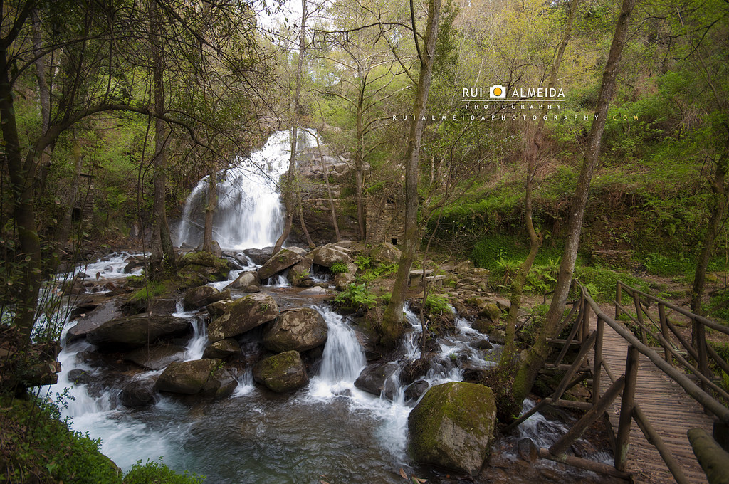 Nature and landscape photography