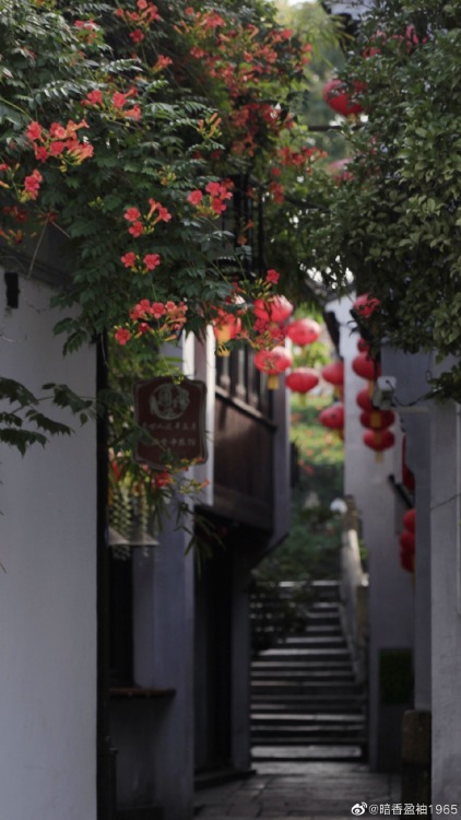 fuckyeahchinesegarden:blossoms of chinese trumpet creeper by 暗香盈袖1965