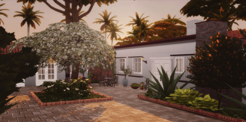 Seedling Fifth Helena Drive This Is A House Based Off Seedling Fifth Helena Drive This Is A House Based Off