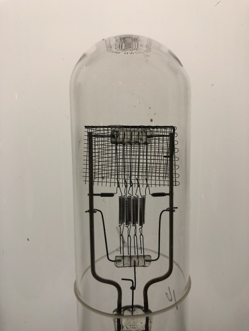 huntingtonlibrary:  Details of beautiful, intricate filaments from our historic lightbulb collection, on view in “Beautiful Science: Ideas that Changed the World,” Library Exhibition Hall. Read more about the collection of nearly 400 bulbs, dating