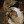 human-being61:Mark: reblogs stuff like once a month and then disappears into the