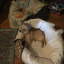 human-being61:Mark: reblogs stuff like once a month and then disappears into the