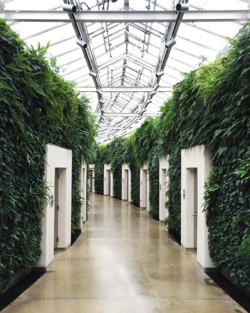 Obligatory restroom hallway photo #longwoodgardens #longwoodchristmas by billycress http://ift.tt/1m