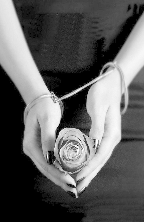 redfenixslave:  “Preferisco sanguinare dolore e passione, che avere vene secche di vita.”  Anna Fratellanza