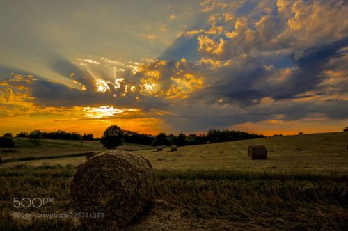 in a field at sunset&hellip; by paroq