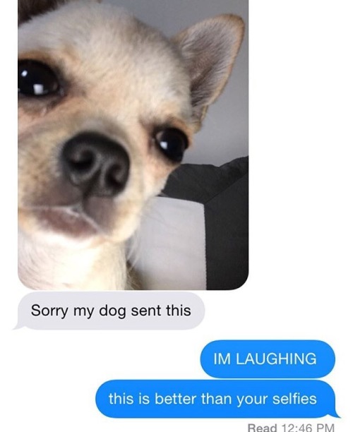 ZACK IS ON TUMBLR