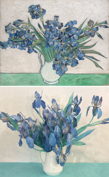 Paper Flower Kit Celebrates Van Gogh’s Irises PaintingCelebrate the beauty of Van Gogh’s Irises with