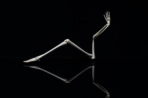 myampgoesto11: Skeletal sculptures by Monika Horčicová My Amp Goes To 11: Twitter |