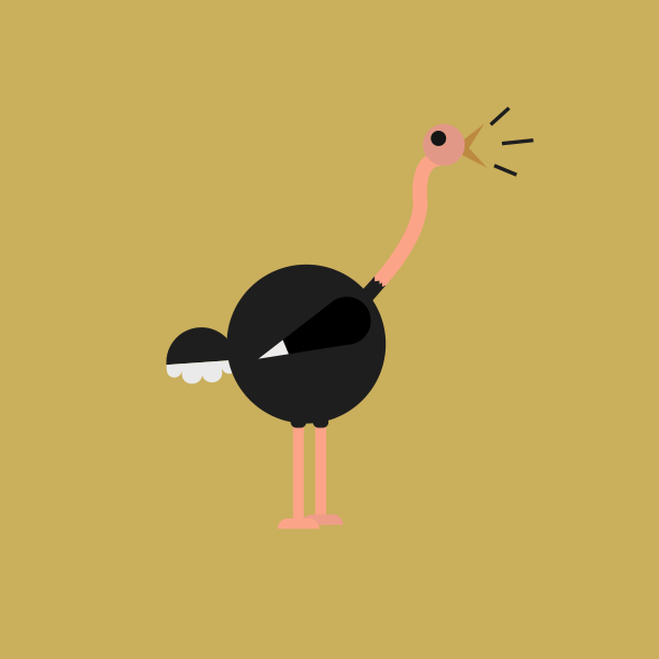 Ostrich Animated by Adam Zimmer Illustrated by... - Say Chiizu