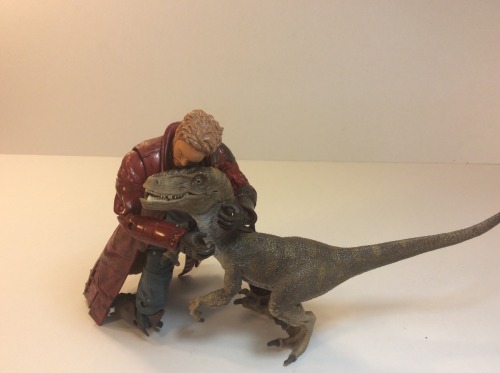 pinstripesuit:  thetoymon:  Jurassic World: The Adventures of Starlord and Raptor  never going to be over this 